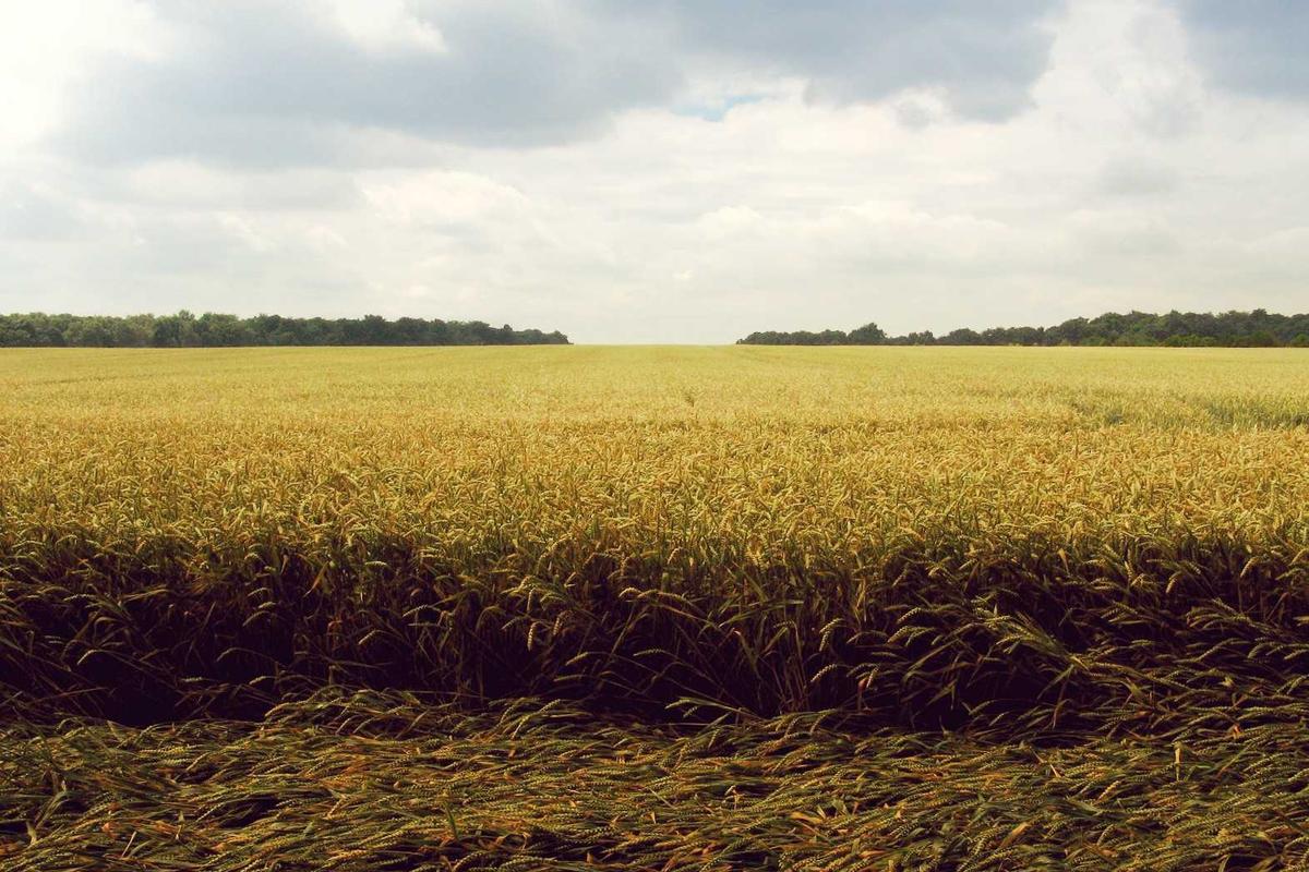 10 Prompt Gemini AI untuk Gabung Foto Masa Kecil dan Sekarang yang Lagi Viral